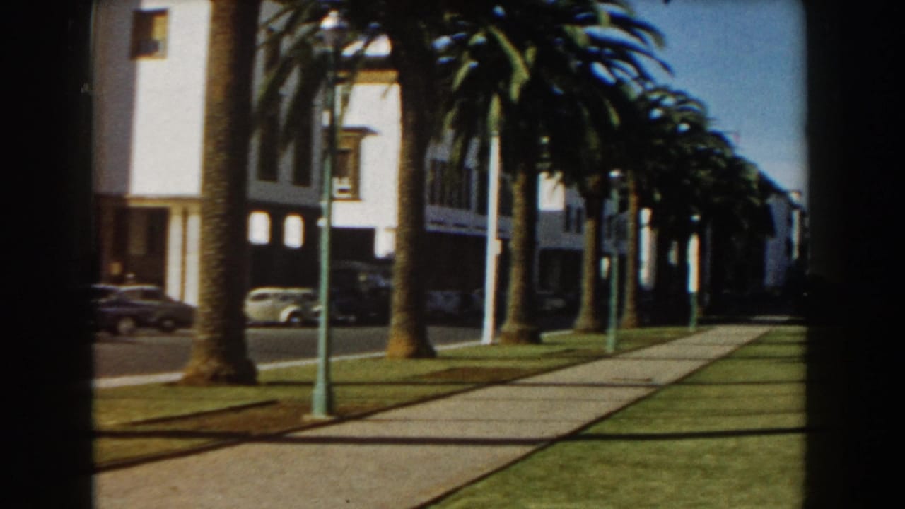 1959 Casablanca street view with palm trees, a grassy median, concrete walkway, mid-century buildings, streetlights, and parked cars.