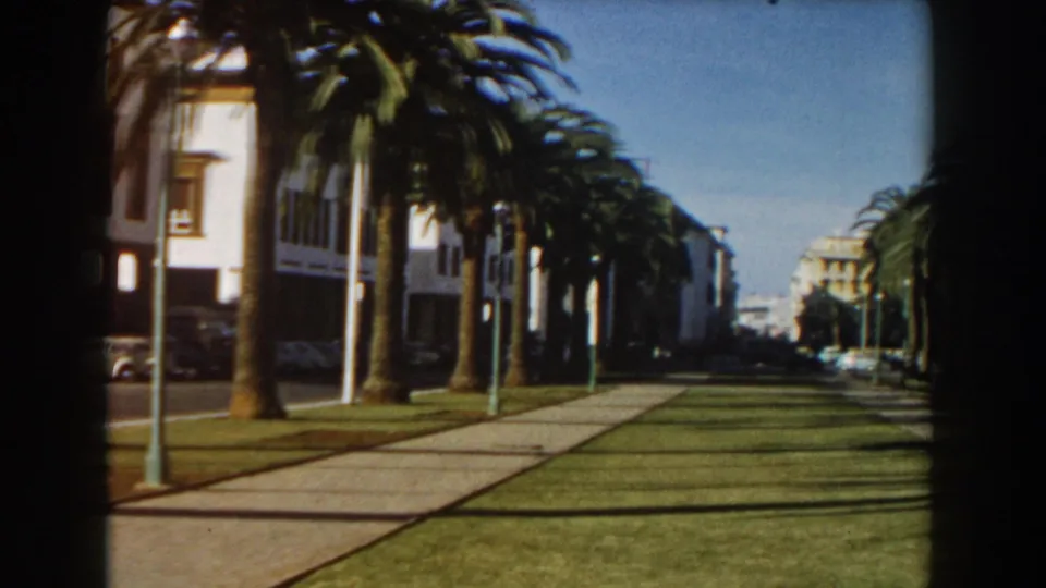 Casablanca boulevard view from 1959 with palms, lawn, walkway, apartment blocks, streetlights, parked cars, and bright blue sky.