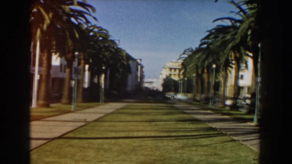 Wide 1959 Casablanca boulevard view showing palm rows, central grass, paved walks, streetlights, parked cars, and mid-century buildings.