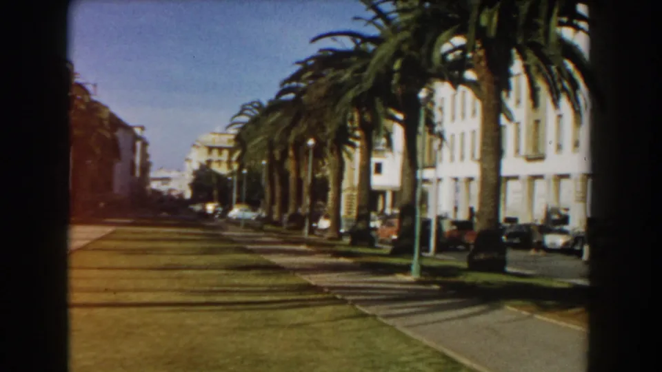 Late-1950s Casablanca boulevard with palms, a central lawn, sidewalks, streetlights, parked cars, and sunlit mid-century facades.