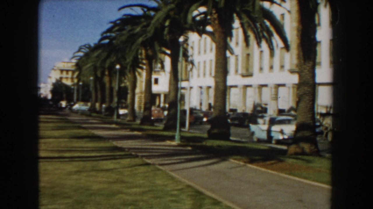 1959 Casablanca street view showing a palm-lined boulevard, white buildings, parked mid-century cars, and long shadows.