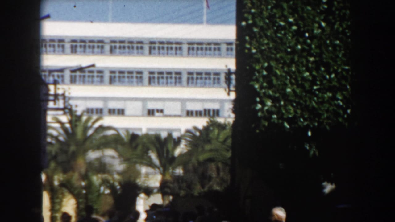 Palm trees and a white multi-story building seen through dark foreground shadows.