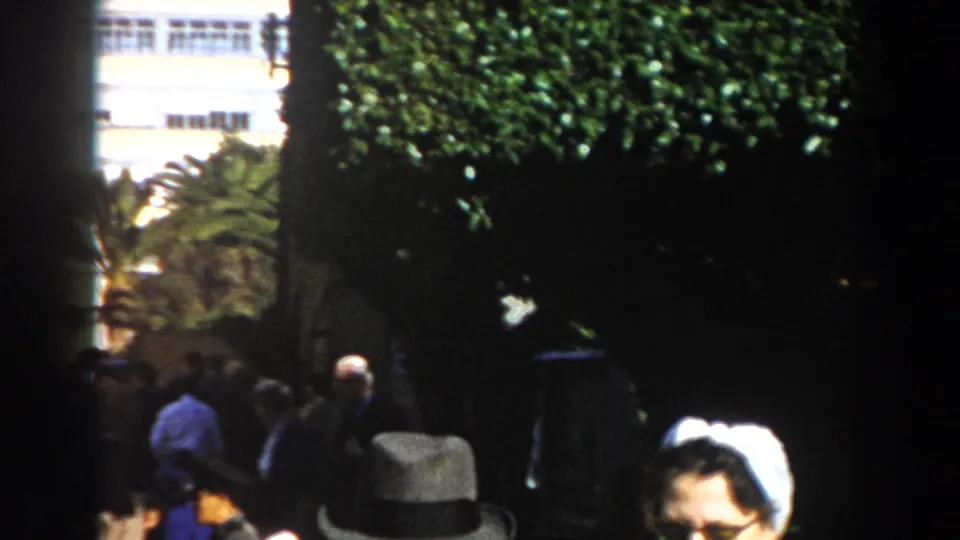 1959 Casablanca crowd near dense hedges and palm trees, with a white building visible behind the shaded street scene.