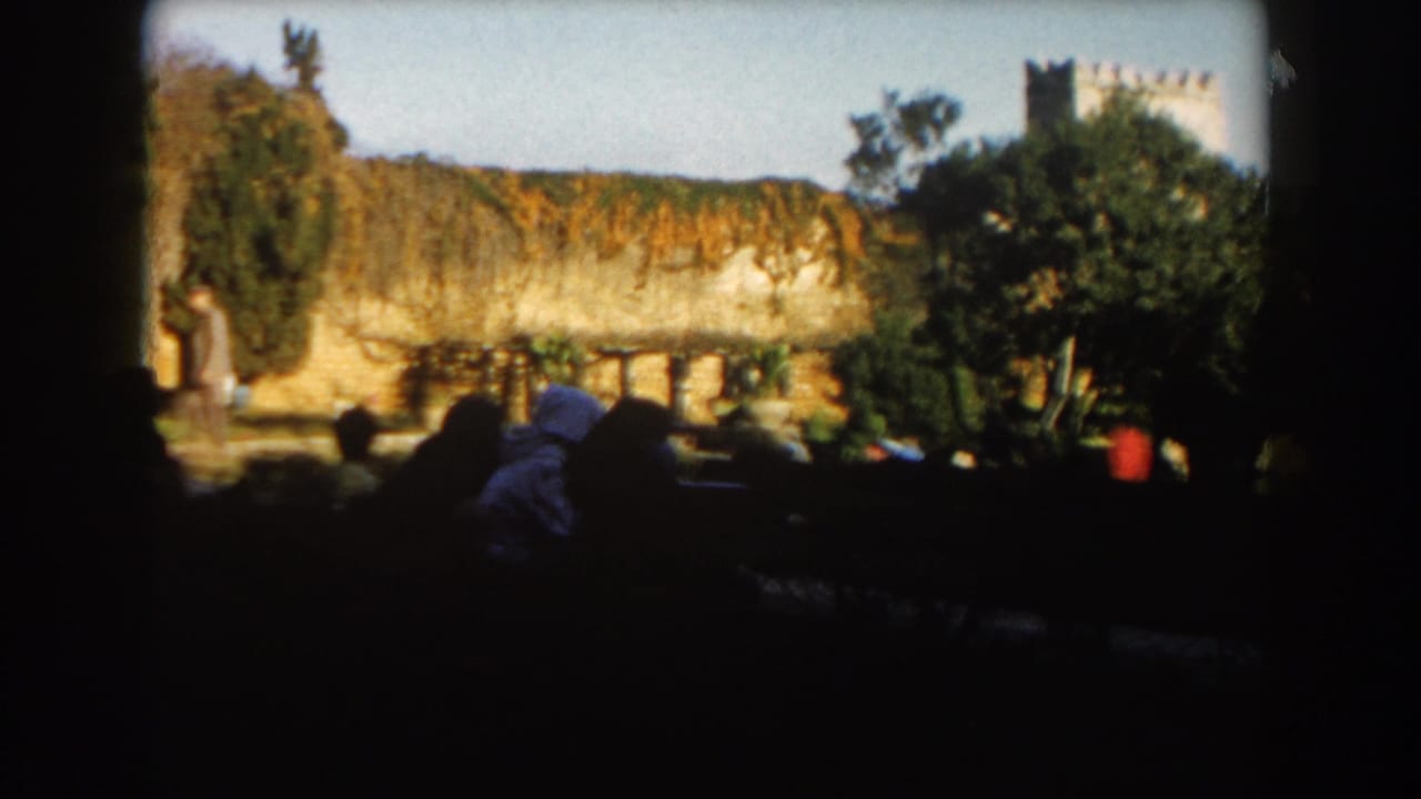 People remain in shadow near a bright stone wall, with trees and a tower beyond.