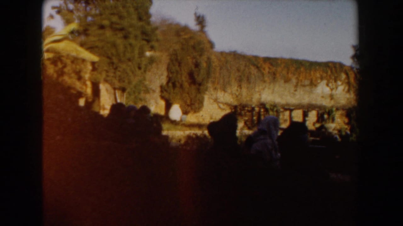 1959 Casablanca frame with a bright vine-covered wall, trees, and silhouetted visitors in the foreground.