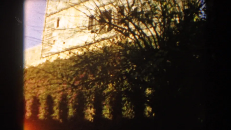 1959 Casablanca frame showing a pale upper wall or tower above dense vines and silhouetted branches.