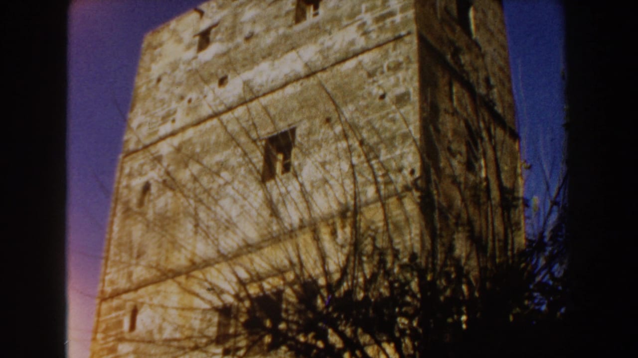 Close view of a stone tower facade with small openings and branches at the lower edge.