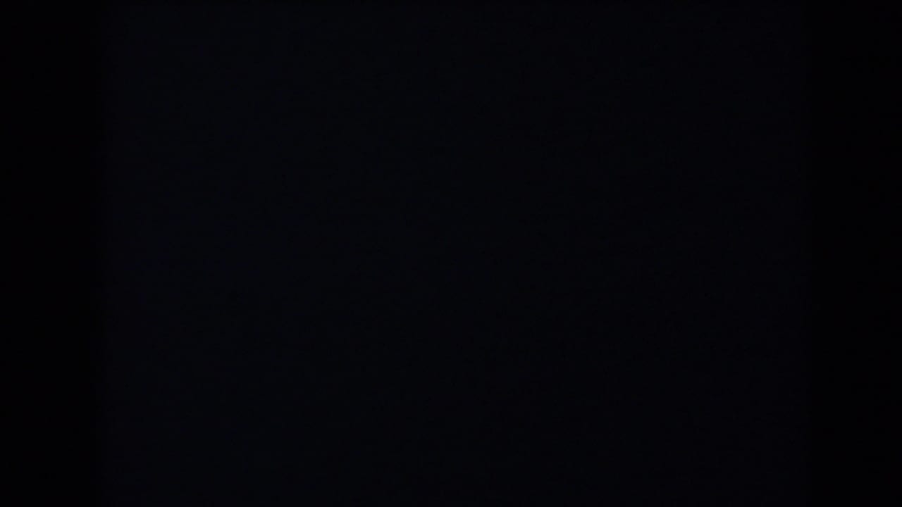 Very dark underexposed frame with faint vertical film shadows.