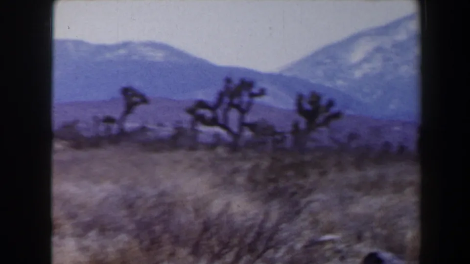 A wide 1958 Las Vegas-area desert view shows Joshua trees and dry foreground brush below snow-capped mountains.