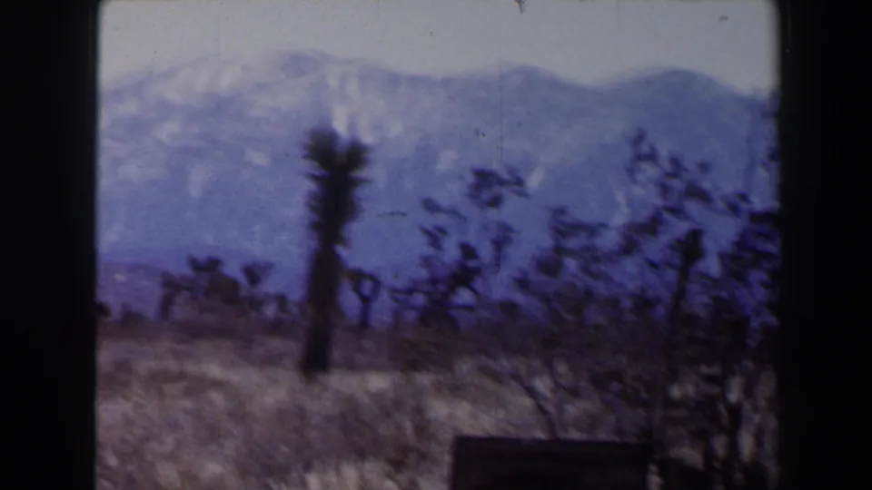 A soft 8mm frame shows a Joshua tree and desert brush in front of snow-capped mountains near Las Vegas in 1958 footage.