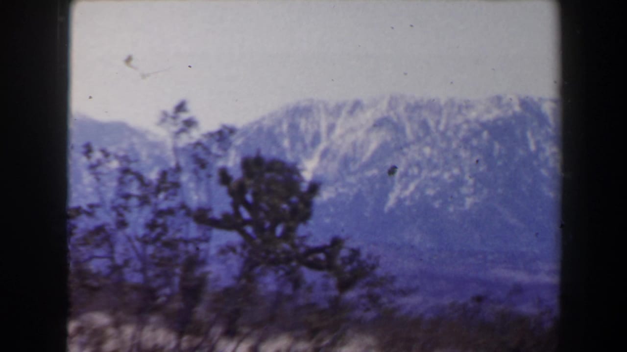 Distant snow-streaked mountains with desert shrubs silhouetted in the foreground.
