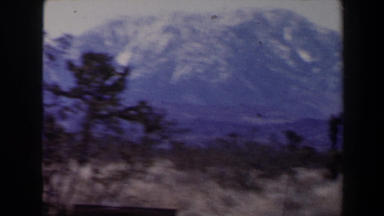 1958 Las Vegas-area 8mm frame showing snowy mountains behind dry desert brush and dark Joshua tree silhouettes.