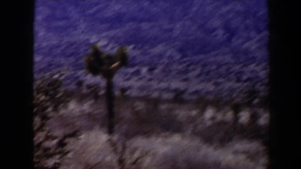 8mm view of a Joshua tree and dry scrub against a brown, rocky hillside near Las Vegas in 1958.