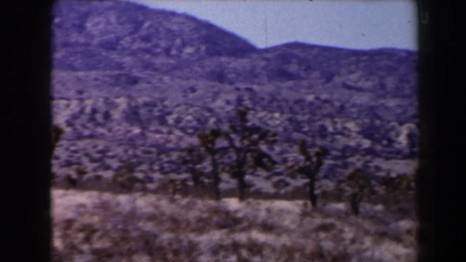 1958 home-movie frame showing Joshua trees and dry brush across an open desert valley near Las Vegas, with low hills beyond.