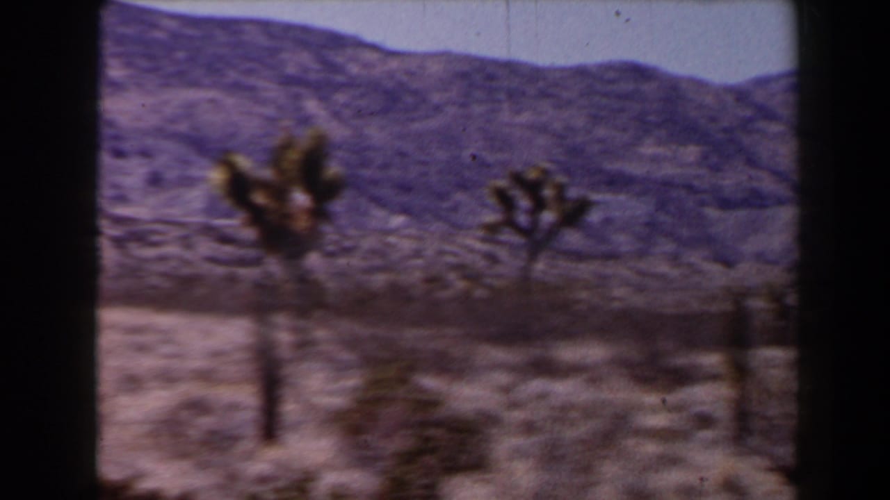 Blurred Joshua trees and desert brush with mountains in the background.
