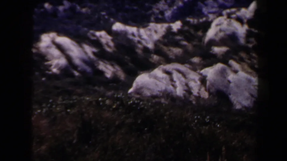 1958 Las Vegas-area 8mm frame focused on pale weathered rock formations and sparse dark vegetation under a purple-blue color cast.