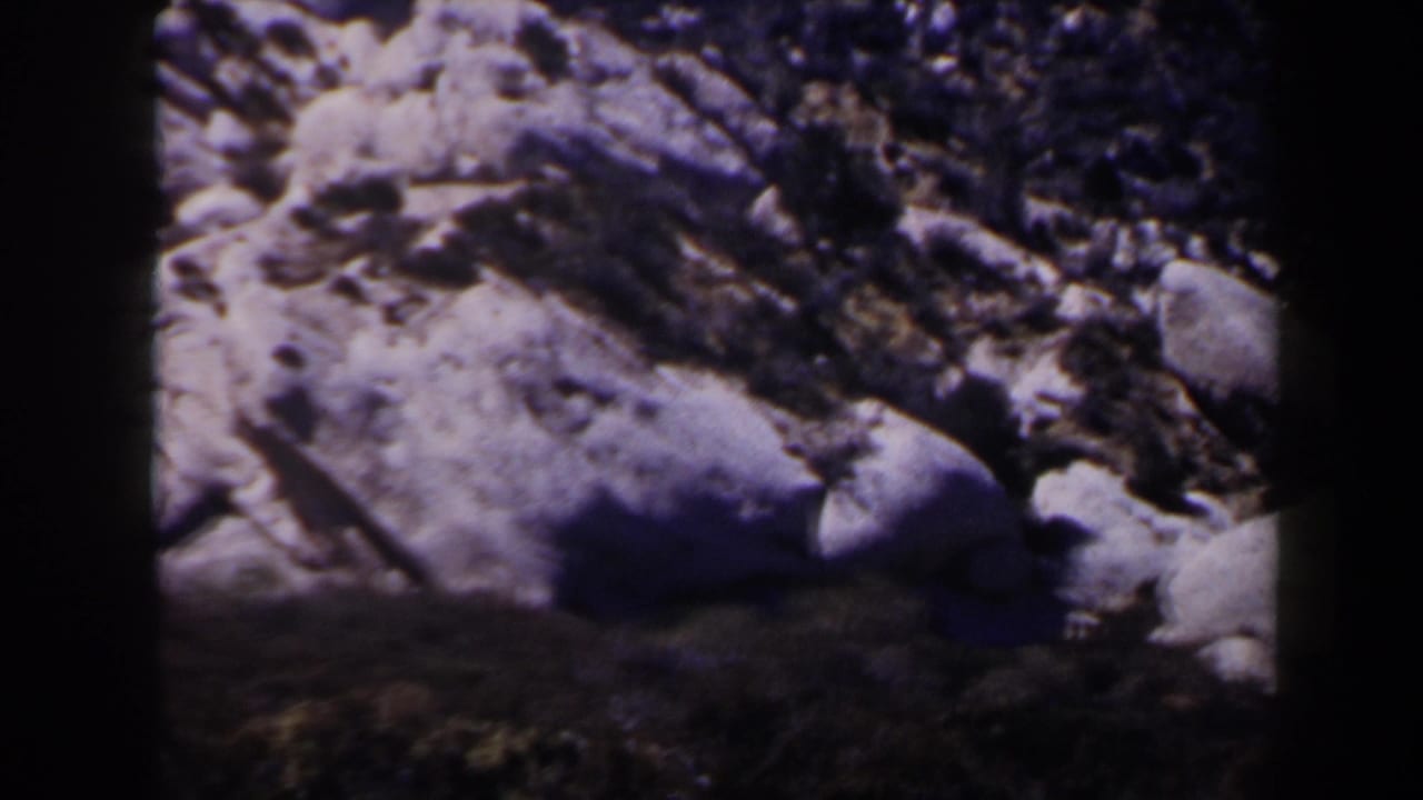 1958 Las Vegas-area 8mm frame showing pale desert boulders, rocky ground, and dark scrub or shadow in the foreground.