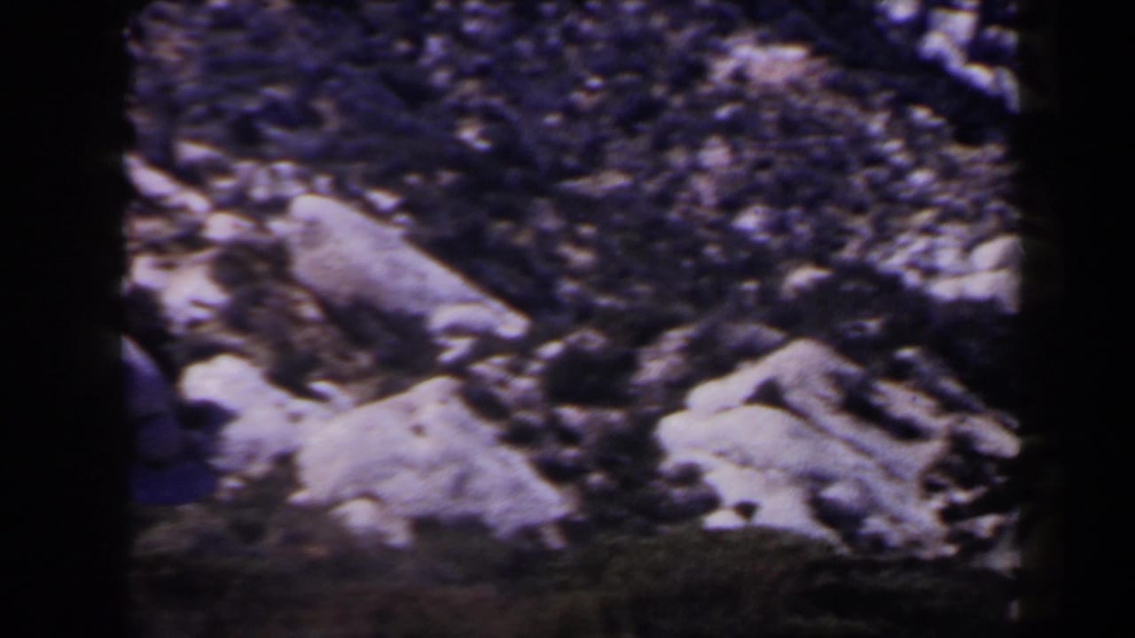 Rocky slope with light boulders, gravel, and dark foreground vegetation.