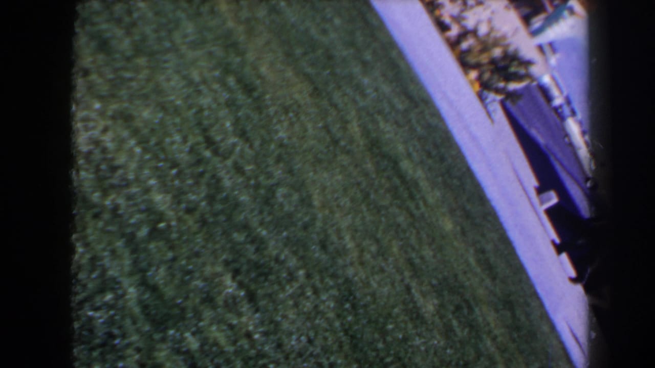 Sideways 8mm view of grass, a pale sidewalk and a dark curbside shape in a Las Vegas exterior setting.