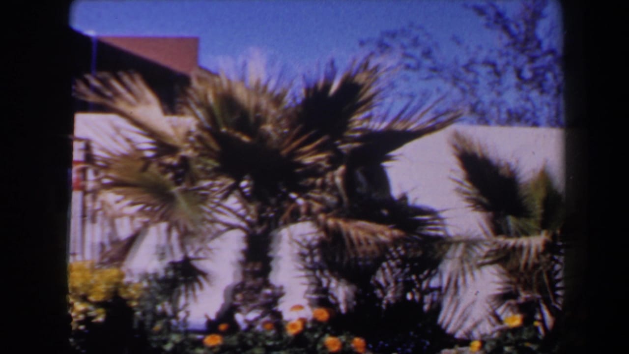 Las Vegas 1958 home-movie frame of palms, gravel beds and a pale exterior wall beside a low mid-century building.