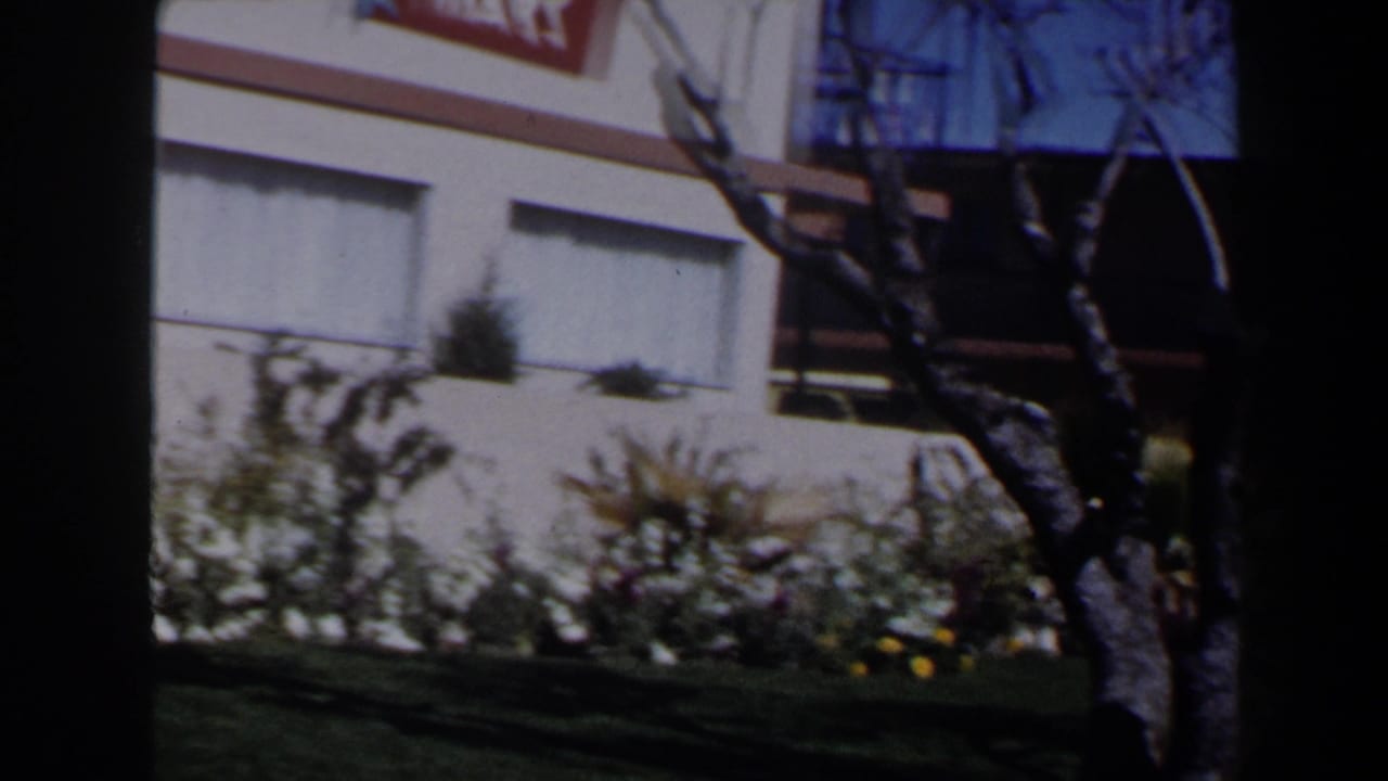 A sunlit exterior view shows the low building, balcony railings, shaded windows, bare branches, and landscaped plants in the foreground.