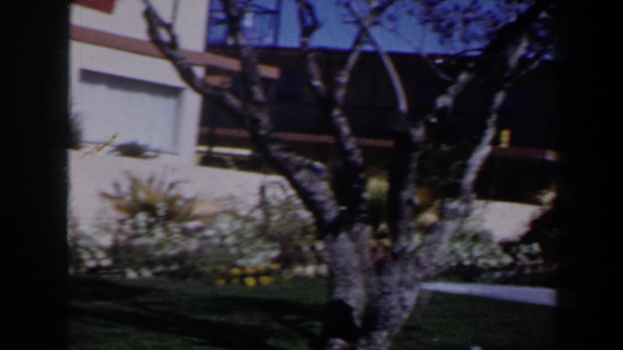 Landscaped lawn and bare trees outside a low building with no person clearly visible.