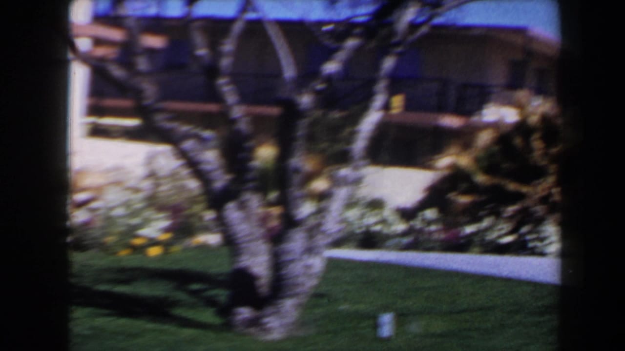 1958 Las Vegas exterior with tree trunks, lawn, flower beds, and a low mid-century building behind the foreground branches.