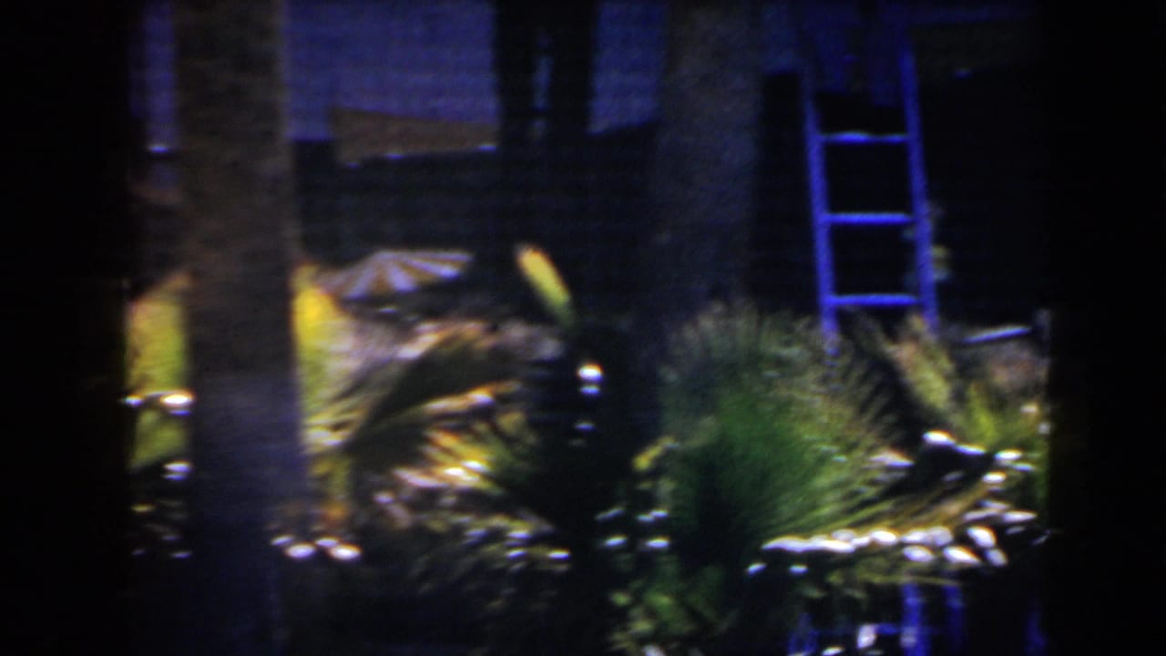 Nighttime Las Vegas exterior with palm fronds, a ladder, and a partially obscured person in grainy 8mm footage.