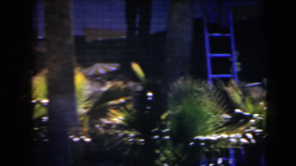 Nighttime Las Vegas exterior with palm fronds, a ladder, and a partially obscured person in grainy 8mm footage.