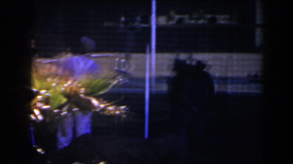 Silhouetted figure near palm fronds and a pole in a low-light 1958 Las Vegas street or exterior scene.