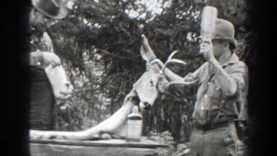Adult man in outdoor work clothes stands beside the antlered deer during the 1939 Chelan hunting home movie.