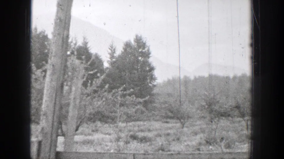 The final frame shifts to a quiet wooded landscape with trees and distant hills or mountains near the Chelan, Washington setting.