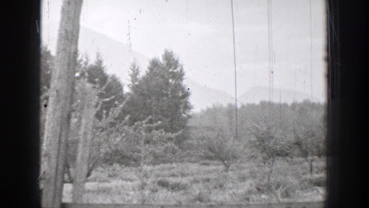1939 8mm Chelan, Washington view through a window toward trees, open ground, a utility pole, and misty hills.