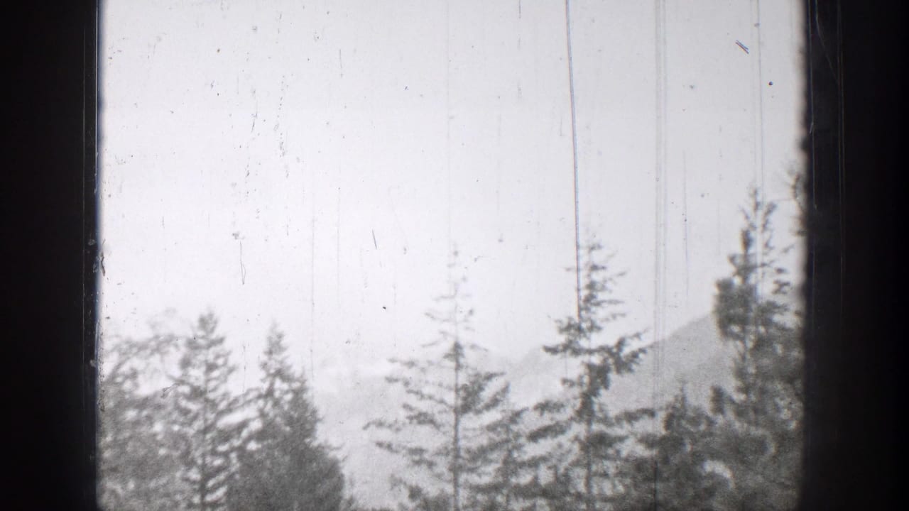 Evergreen treetops and hazy hills seen through a dark window frame.