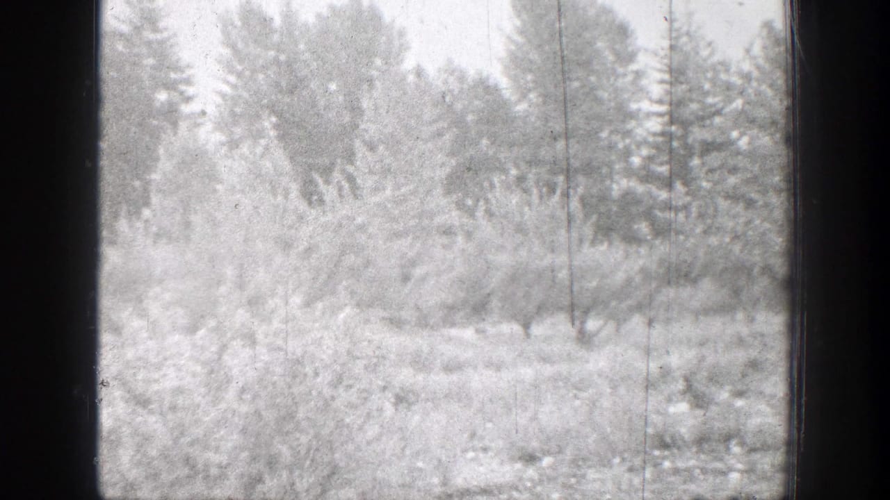 1939 Chelan, Washington home-movie frame showing snow-covered brush and conifers with visible grain and scratches.