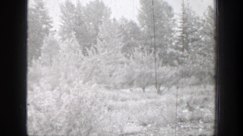 1939 Chelan, Washington home-movie frame showing snow-covered brush and conifers with visible grain and scratches.