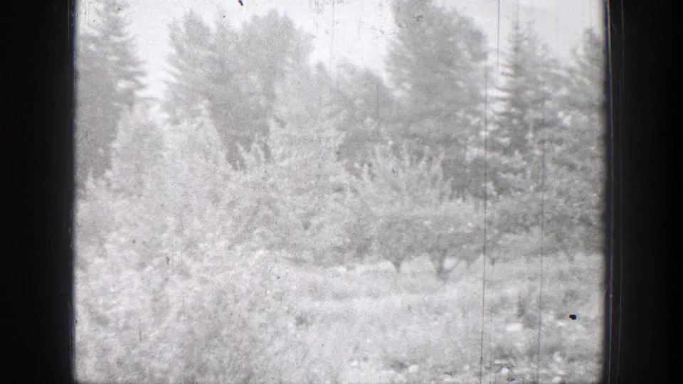 Snowy Chelan-area woodland appears in a grainy 1939 8mm frame, with brush, conifers, and a dark gate edge.