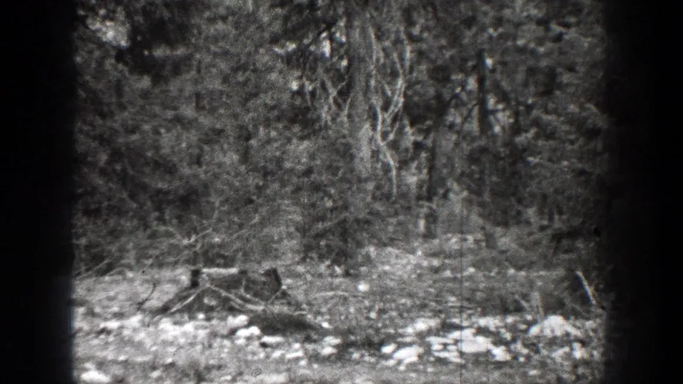 A darker 1939 Chelan home-movie frame shows snow patches, brush, branches, and wooded ground with heavy grain.