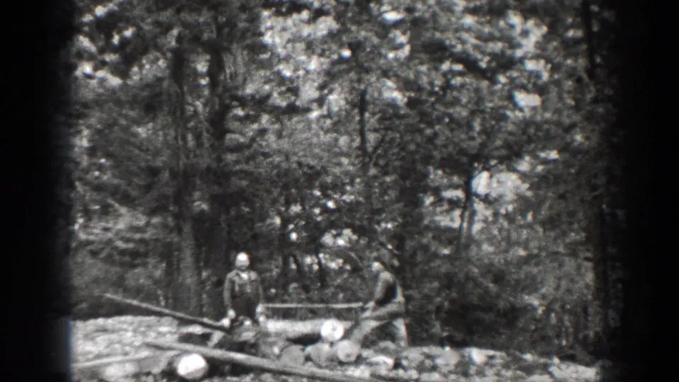 Two men handle wood near cut logs and long branches in the forest clearing, with dense trees and the campsite setting visible in 1939 Chelan, Washington footage.