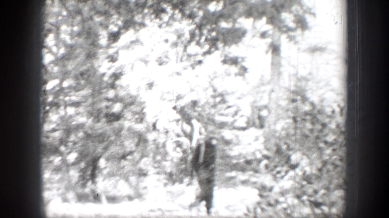 Man in a dark suit and hat walking through a bright wooded area.