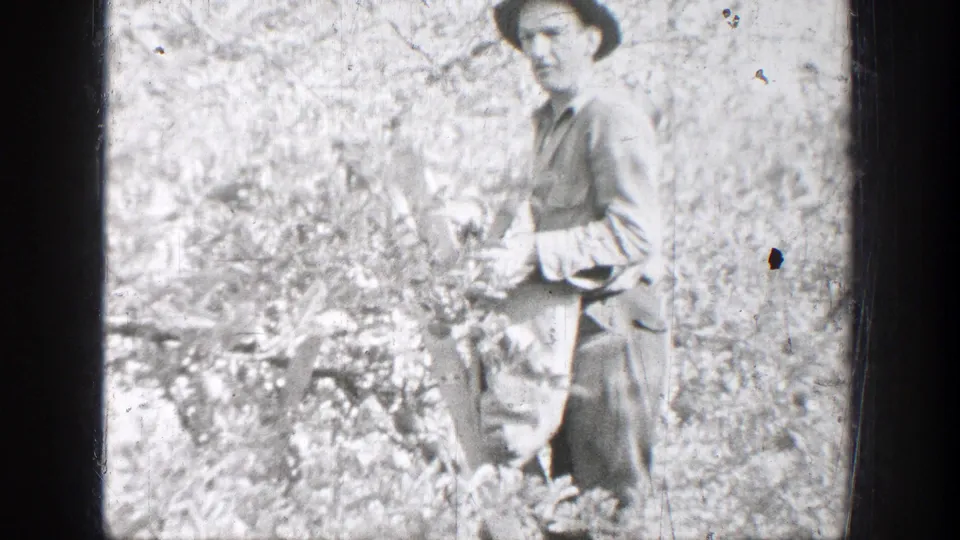 Black-and-white 1939 home-movie frame from Chelan, Washington, showing a man in work clothes and a brimmed hat standing in dense brush or field vegetation.