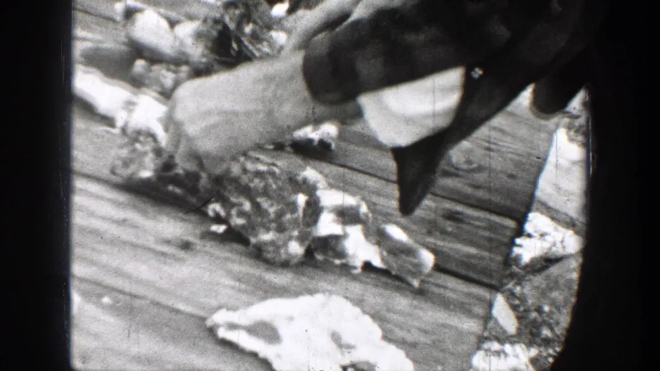Close-up black-and-white 1939 Chelan, Washington frame showing hands handling raw meat on a wooden surface, with a dark food preparation tool or grinder partly visible.