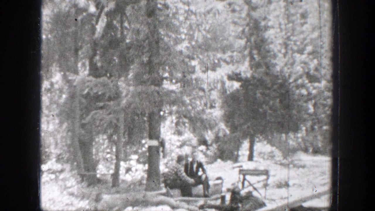 People seated near a wooded lakeside with logs or benches by the water.