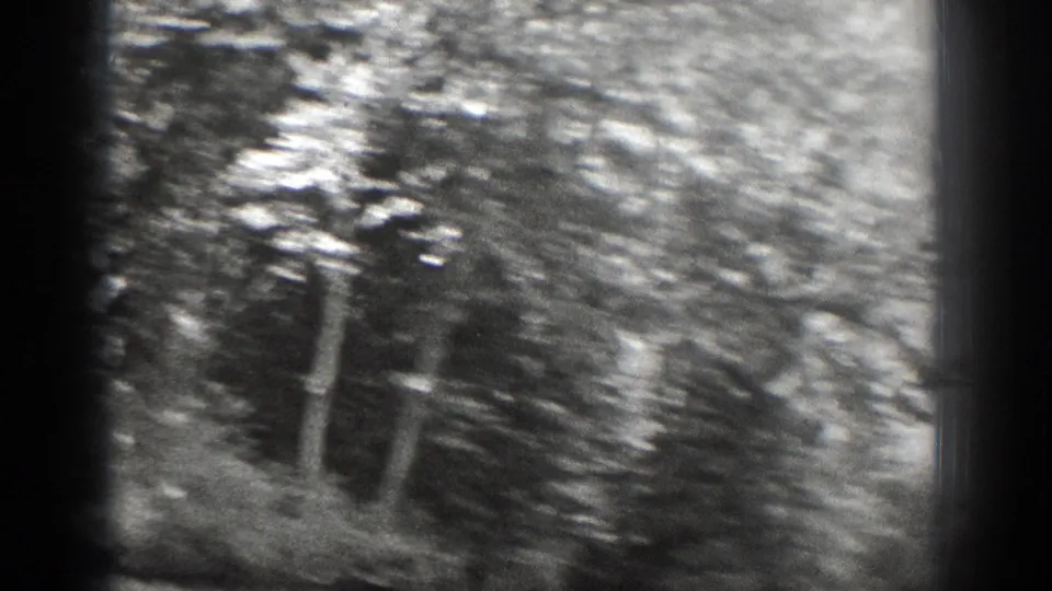 A blurred handheld view shows rippling water and shoreline vegetation as the boat scene shifts or the camera moves.