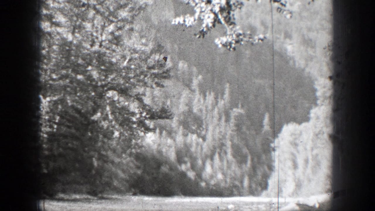 Wooded shoreline and pond water in a grainy black-and-white 8mm frame.