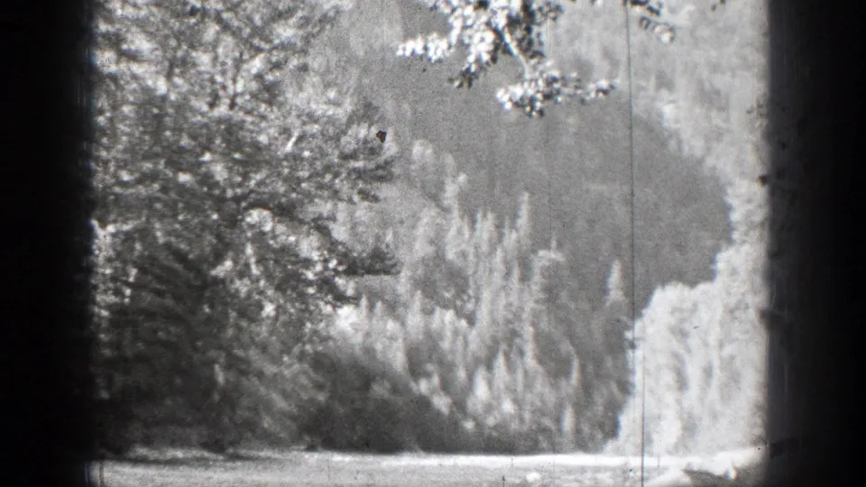 Chelan, Washington home-movie frame from 1939 showing pond water, dense trees, and brush along the shoreline.