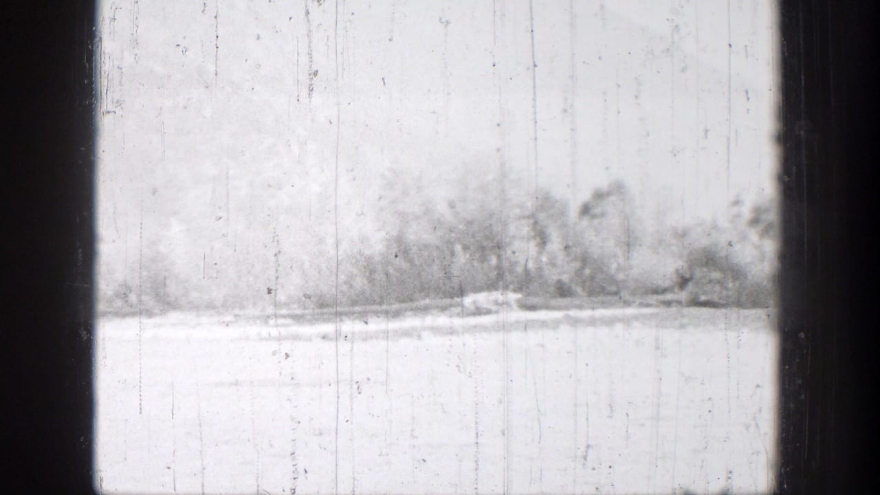 Pale lake or snowy shoreline with distant trees and dark vertical frame edges.