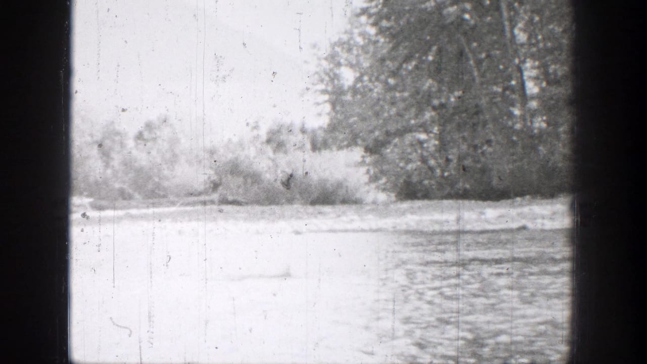 Chelan-area river view in black-and-white 8mm footage, with water, brush, and trees along the far bank.