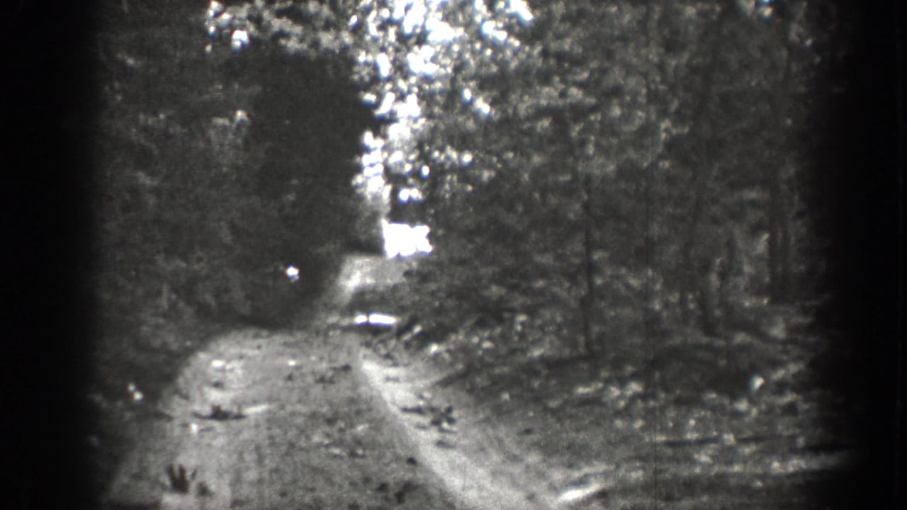Wooded dirt road with wheel tracks and bright daylight beyond the trees.