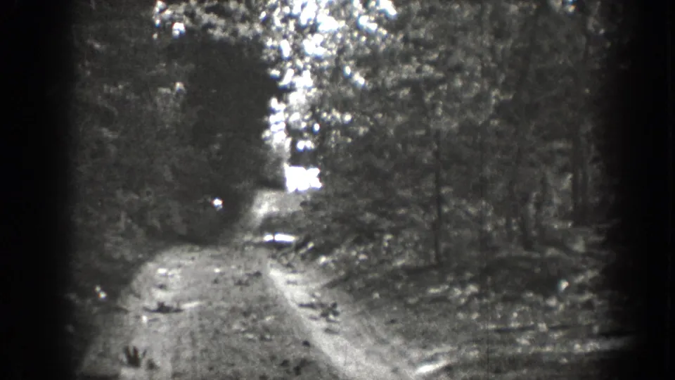 1939 Chelan, Washington home-movie frame showing a narrow forest dirt road with wheel ruts and sunlit trees.